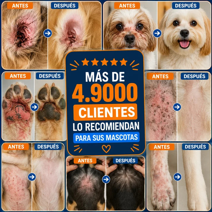 Dermavet+ Gotero Evita Infecciones