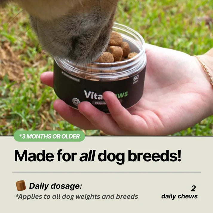 Golosinas masticables VitalPaws