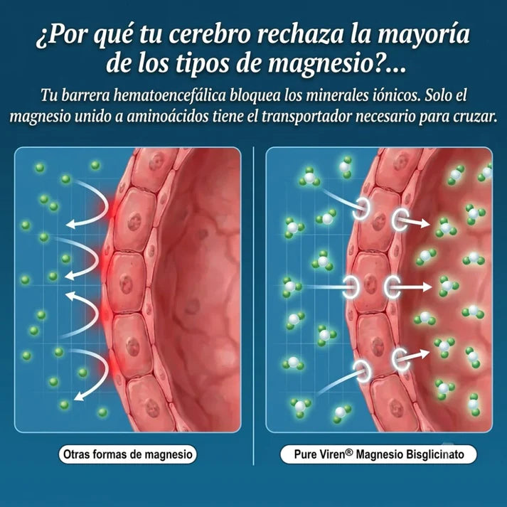 Gomitas de Bisglicinato de Magnesio