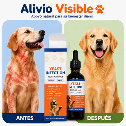 Dermavet+ Gotero Evita Infecciones