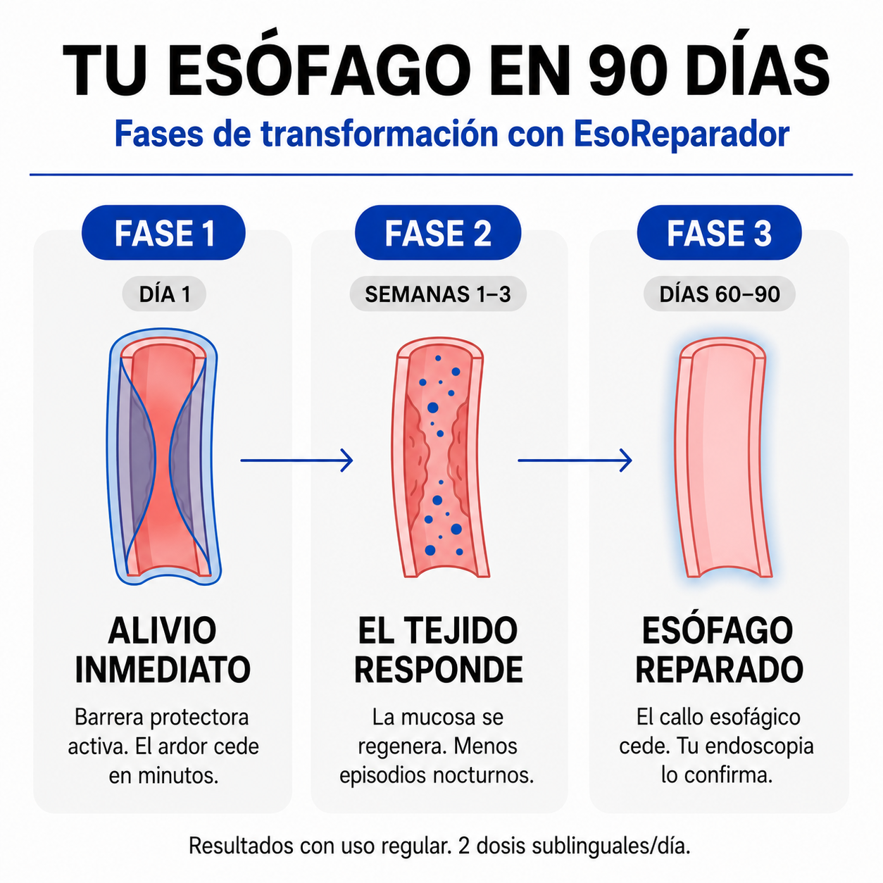 Wonderé | Reparador de Esófago (Copia)