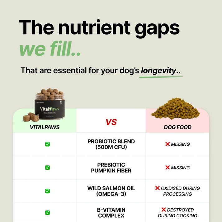 Golosinas masticables VitalPaws
