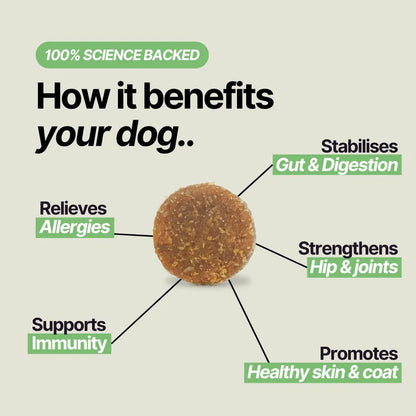 Golosinas masticables VitalPaws